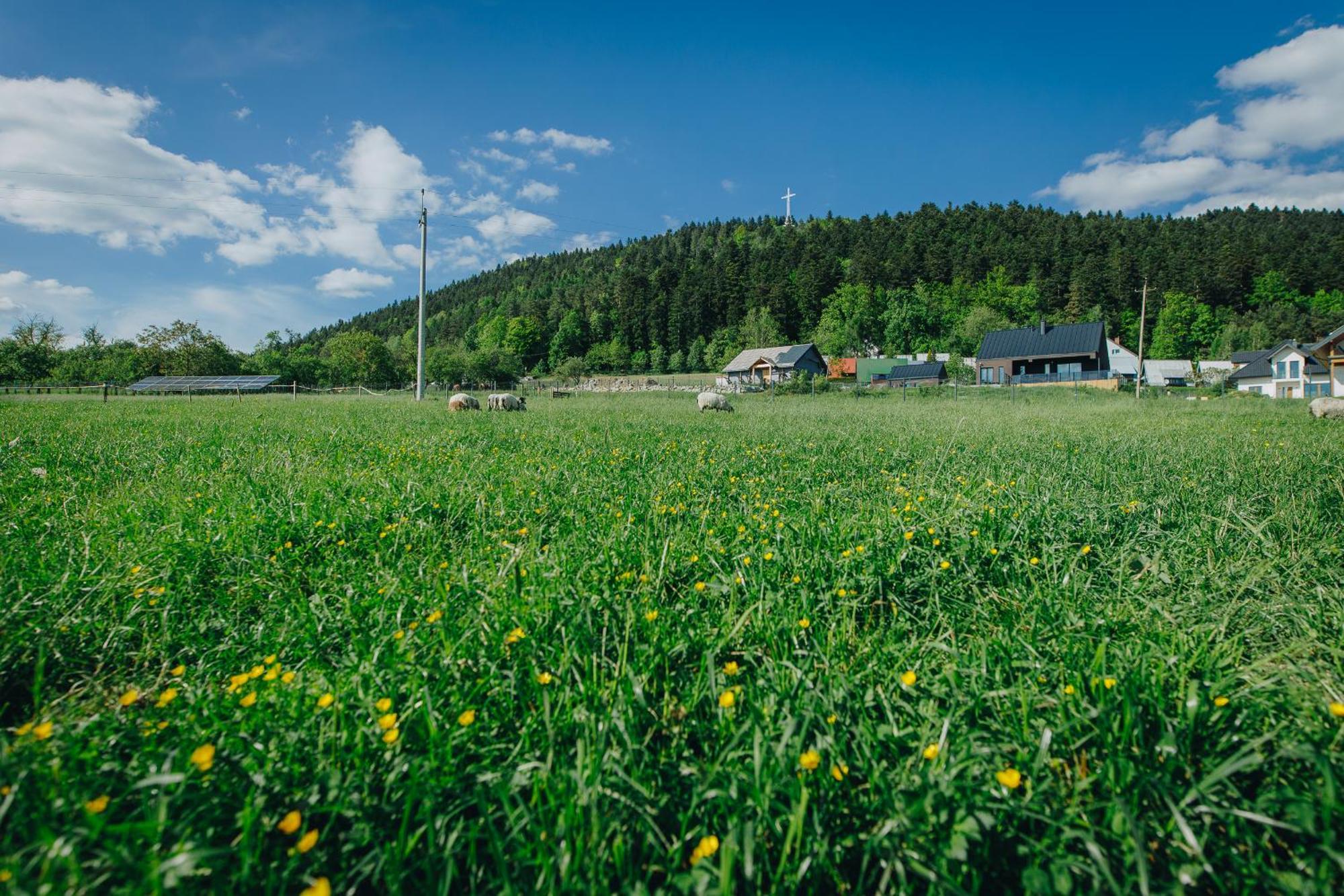 Apartamenty Lesna リマノバ エクステリア 写真